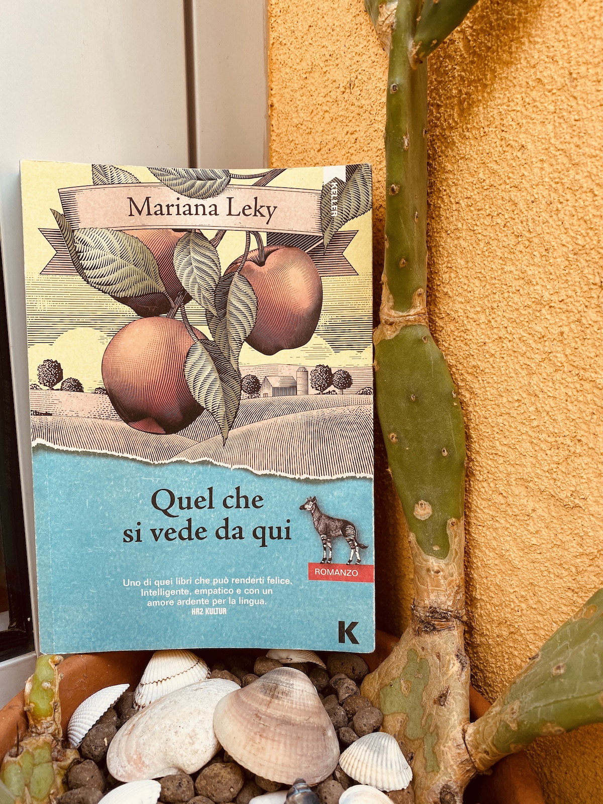quel che si vede da qui
