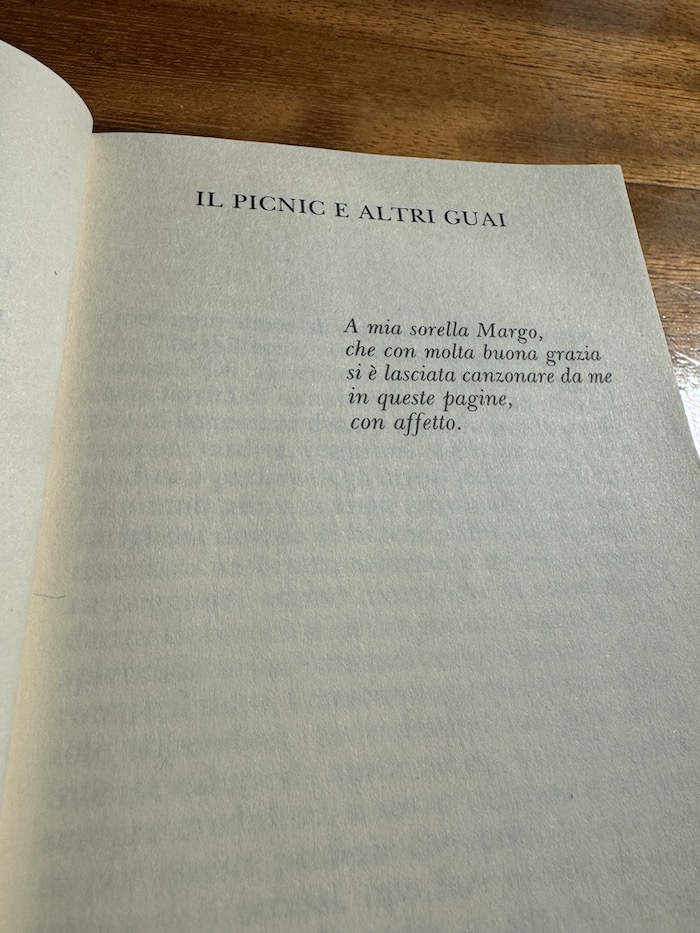 il picnic e altri guai